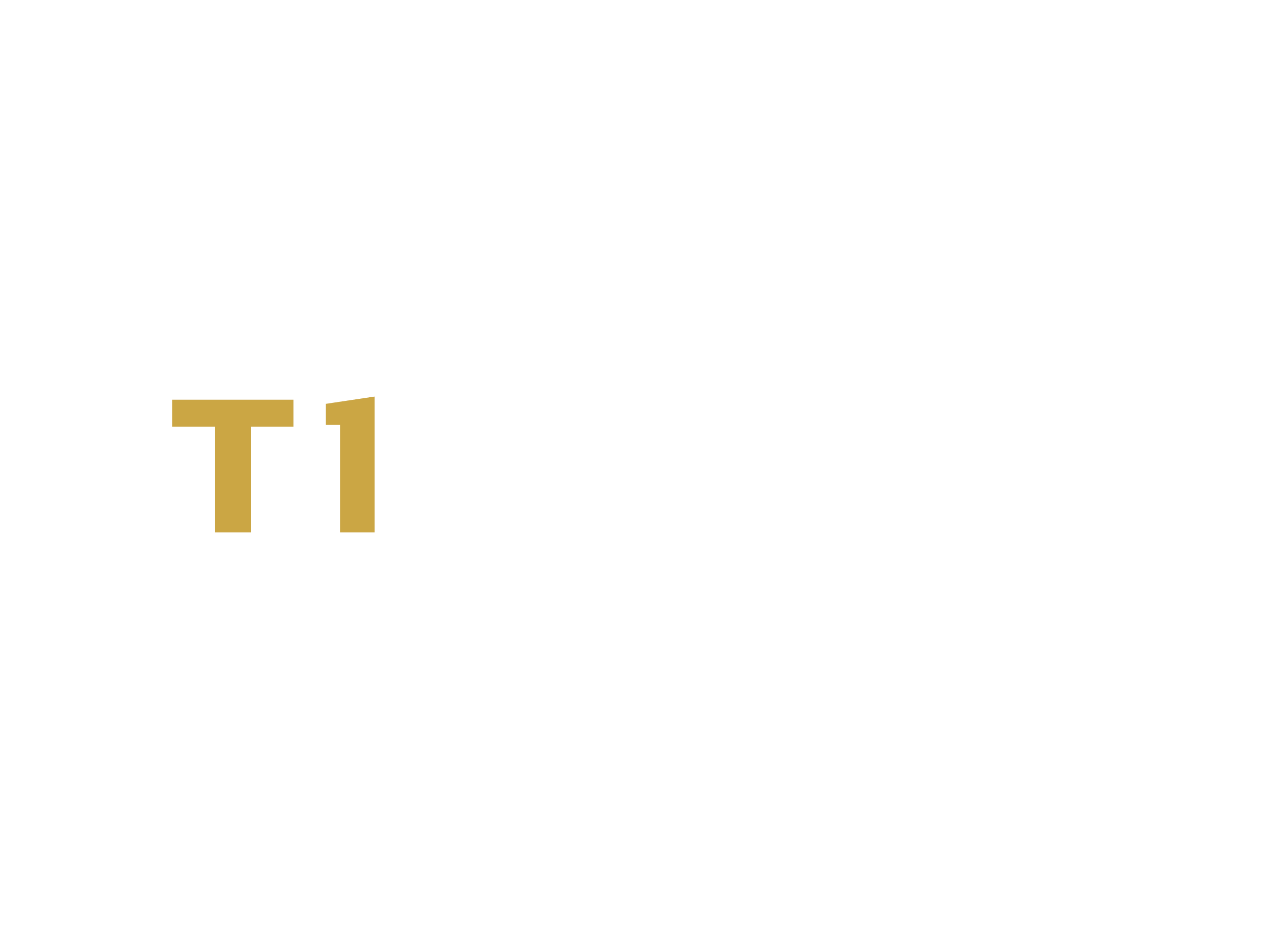 T1 Space